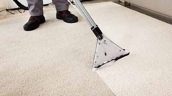 Best Carpet Cleaning Company 